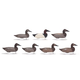 Sam Barnes (MD, 1857-1926), Rig of Seven Canvasbacks