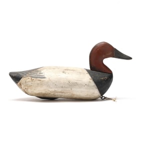 Sam Barnes (MD, 1857-1926), Canvasback
