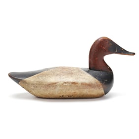 Sam Barnes (MD, 1857-1926), Canvasback