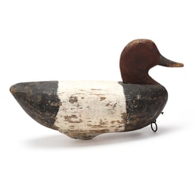 Dexter Snow (NC, 1893-1876), Canvasback