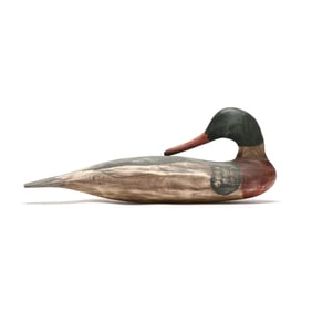Johnathan Willis (NC), Preening Merganser