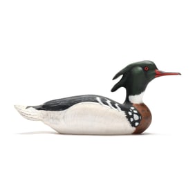 Johnathan Willis (NC), Red-Breasted Merganser