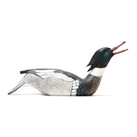 Ken Lowe (NC), Calling Red Breasted Merganser