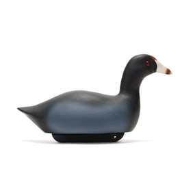 William Veasey (MD, 1932-2022), Coot