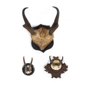 Group of Three Antler Mounts