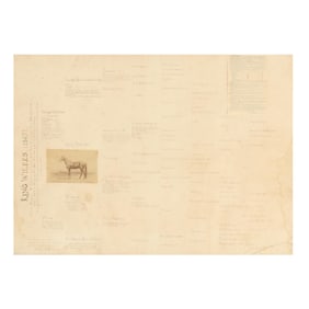 Antique Framed Horse Pedigree,  King Wilkes