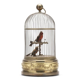 Large Continental Duo of Singing Birds in Cage Automaton