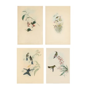 Four Framed Hummingbird Lithographs by Gould & Richter