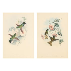 Two Gould & Richter Hummingbird Lithographs