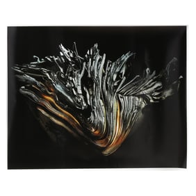 Burk Uzzle (American, b. 1938),  V Book , from the  Burn Series