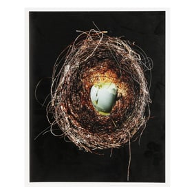 Burk Uzzle (NC, b.1938),  Humming Bird Nest #4