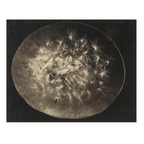Ryugi Taira (Japanese, b. 1960),  Vicissitudes