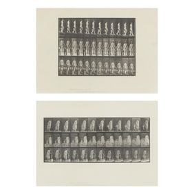 Eadweard Muybridge (American/British, 1830-1904), Two Plates from Animal Locomotion