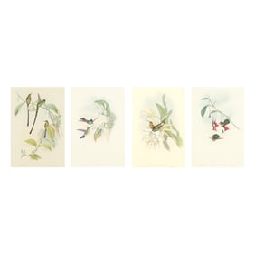 Four Gould & Richter Hummingbird Lithographs