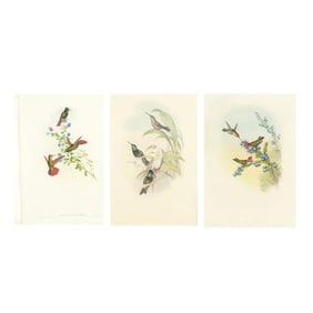 Three Gould & Richter Hummingbird Lithographs