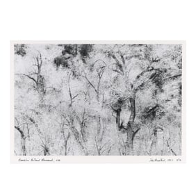 John Rosenthal (NC, b. 1942), Bandelier National Monument, NM