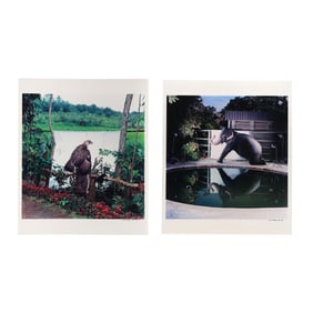 James Balog (American, b. 1952), Two Photographs from Survivors: A New Vision of Endangered
