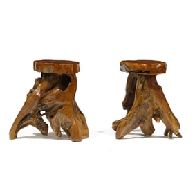 Pair of Root-Wood Stands