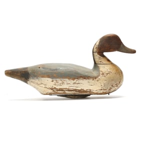 Mitchell Fulcher (NC, 1869-1950), Pintail