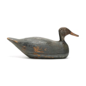 Gary Bragg (NC, 1881-1954), Root Head Pintail