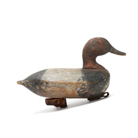 Early Knotts Island Redhead