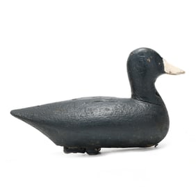 Ned Burgess ( NC, 1868-1958), Rare Published Beetle Head Coot