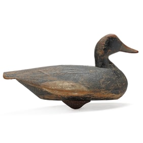 Ned Burgess (NC, 1868-1958), Bluebill