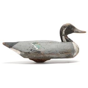 Ned Burgess ( NC, 1868-1958), Pintail