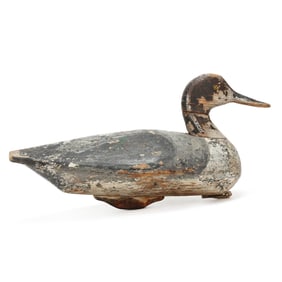 Rufus Roberts (NC, 1897-1954), Pintail