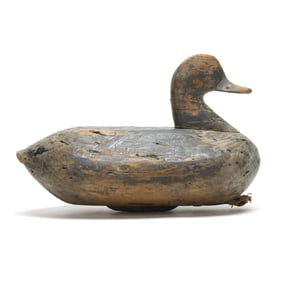 Solomon Beasley (NC,  1850-1935), Hen Redhead