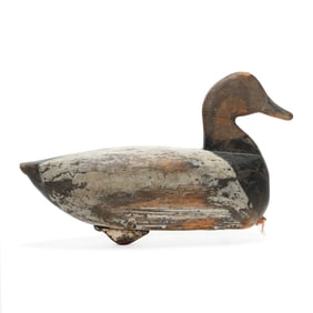 Wallace O'Neal, Sr. (NC, 1867-1955), Hen Canvasback