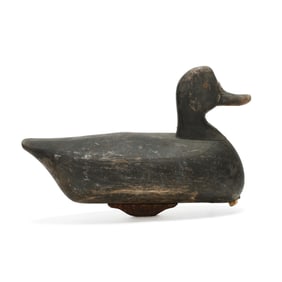 John Austin (NC, 1891-1981), Published Bluebill