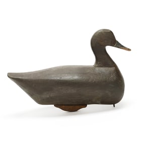 John Austin (NC, 1891-1981), Published Hen Redhead