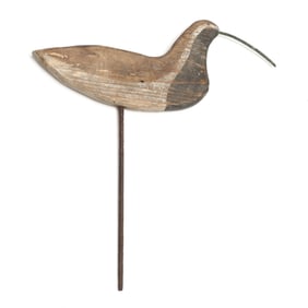 Cecil Midgett (NC, 1905 to 1982), Black Bellied Plover