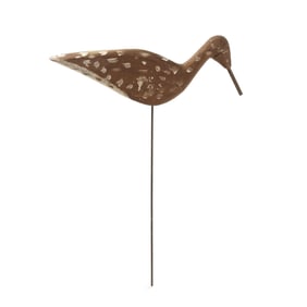 Cecil Midgett (NC, 1905-1982), Published Yellowlegs