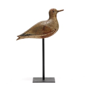 John Dilley (NY), Golden Plover