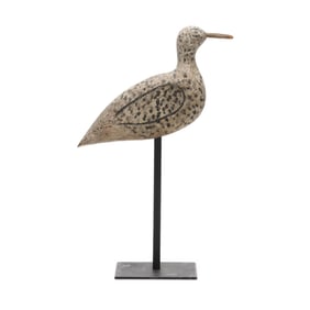 Early New Jersey Sanderling