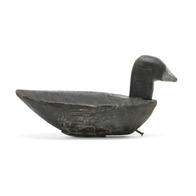 Jammie Carroll (VA, 1906-1976), Published Coot