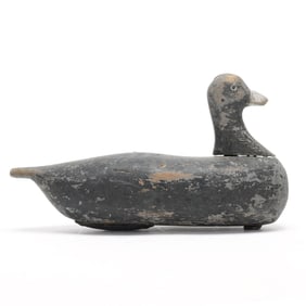 George Waterfield (NC, 1885-1926), Coot