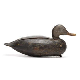 Ira Hudson (VA, 1876-1949), Black Duck