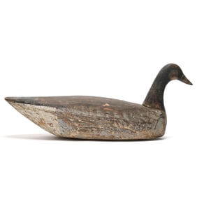 Early Eastern Shore Virginia Goose