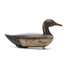 Early Blair School Pintail