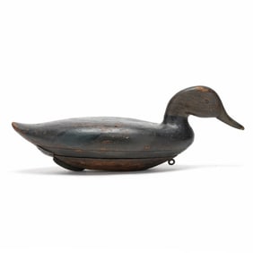 Early Blair School Swimming Black Duck