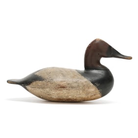 Joseph Dye (MD,  1970-1931), Canvasback