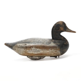 James "Jim" Holly (MD, 1855-1935), Bluebill