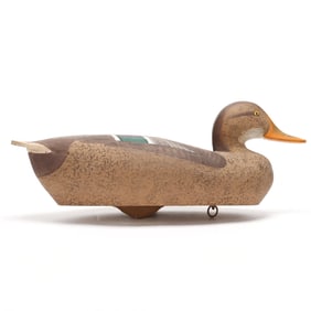 Madison Mitchell (MD, 1901-1993), Hen Mallard