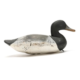 James "Jim" Holly (MD, 1855-1935), Bluebill with Important Core Sound Brands