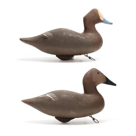 Captn Harry Jobes (MD,  1936-2019), Hen Canvasback and Hen Redhead