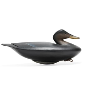 Pete "Hurricane" Peterson (VA, b. 1944), Black Duck