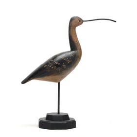 Pete "Hurricane" Peterson (VA, b. 1944), Curlew